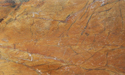 Rain Forest Gold Marble